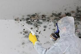 Best Mold Odor Removal Services  in Fairview, TX